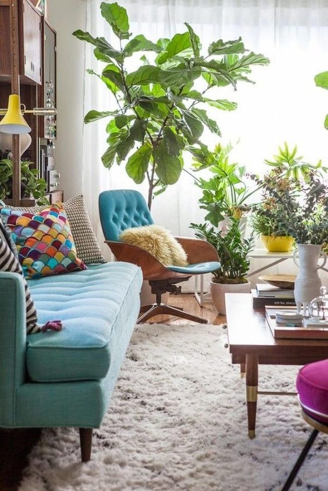 Green Plants Meet Light Blue Seating