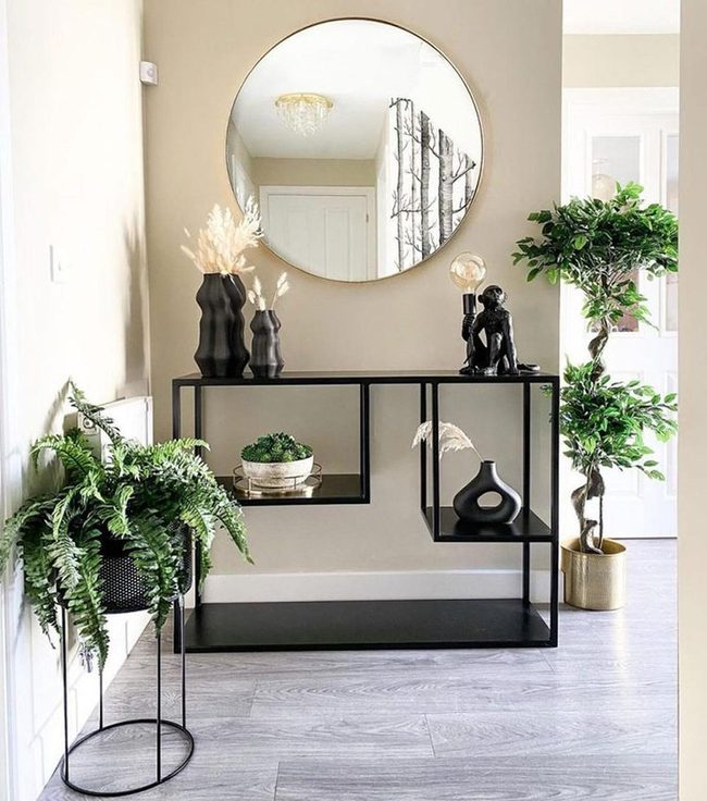 Tall Plants Stretch Entryway Heights
