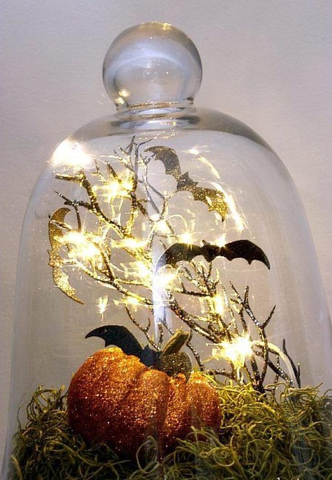 Orange Pumpkins Under Glass Dome