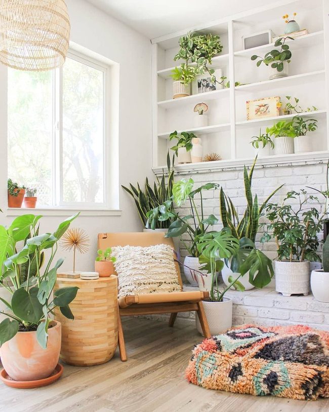 Leafy Green Corner Filler