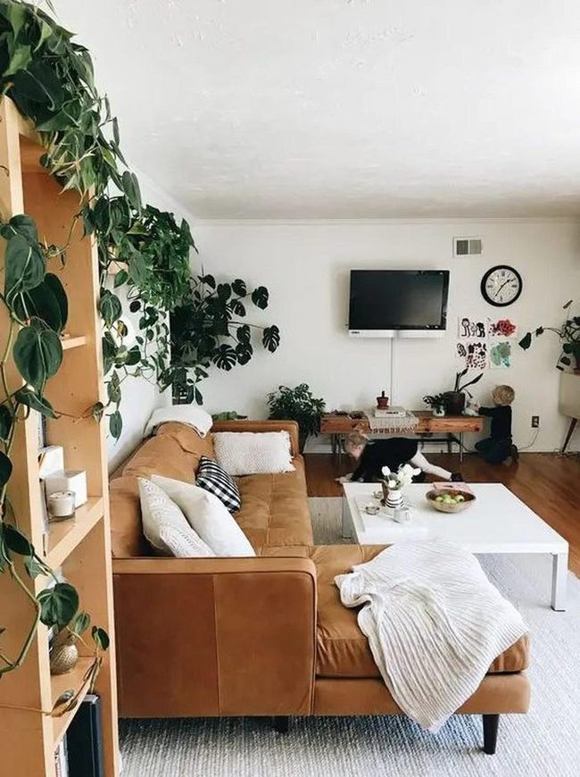 Living Green Wooden Walls