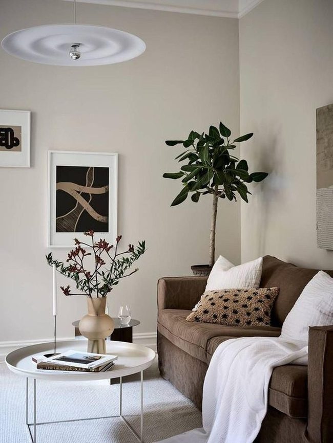 Brown Sofa, Green Plants, Calm