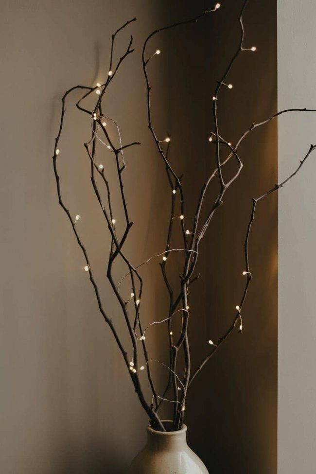 Glowing branches in tall vase