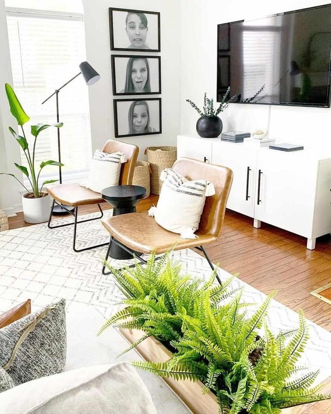 Green Plants Against White Console
