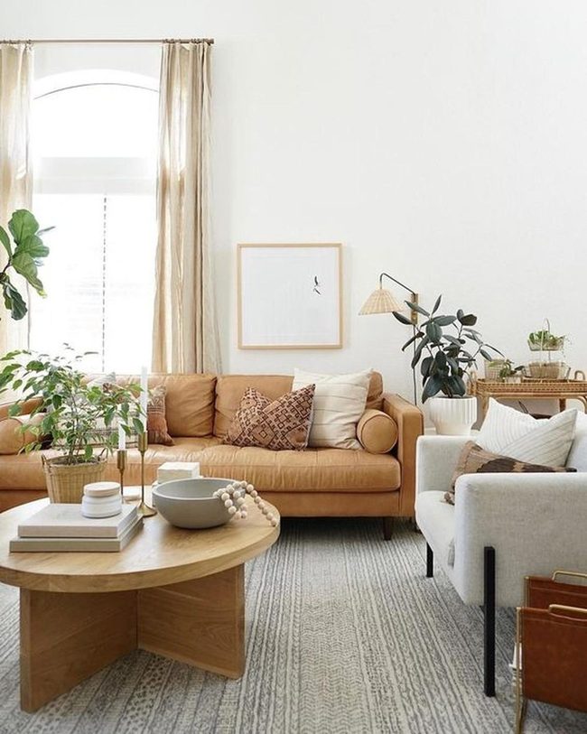 Golden Afternoon Light Through Windows