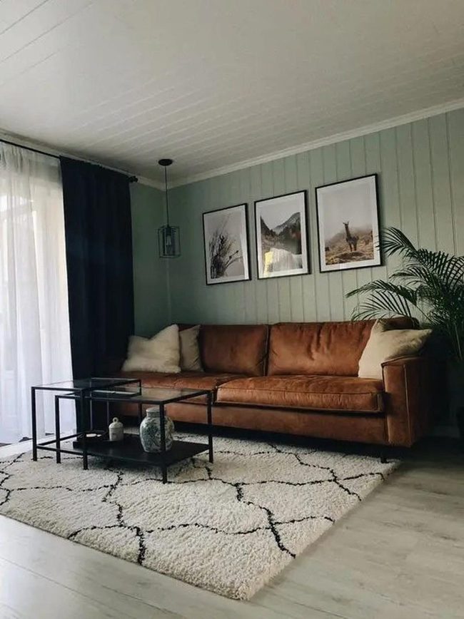 Brown Leather And Nature Tones