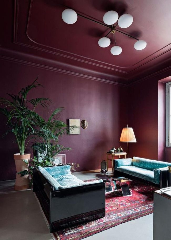 Purple Walls, Multicolor Contrast Living