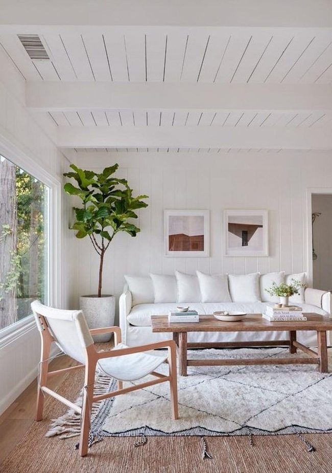 White Walls, Wooden Beams, Green Life