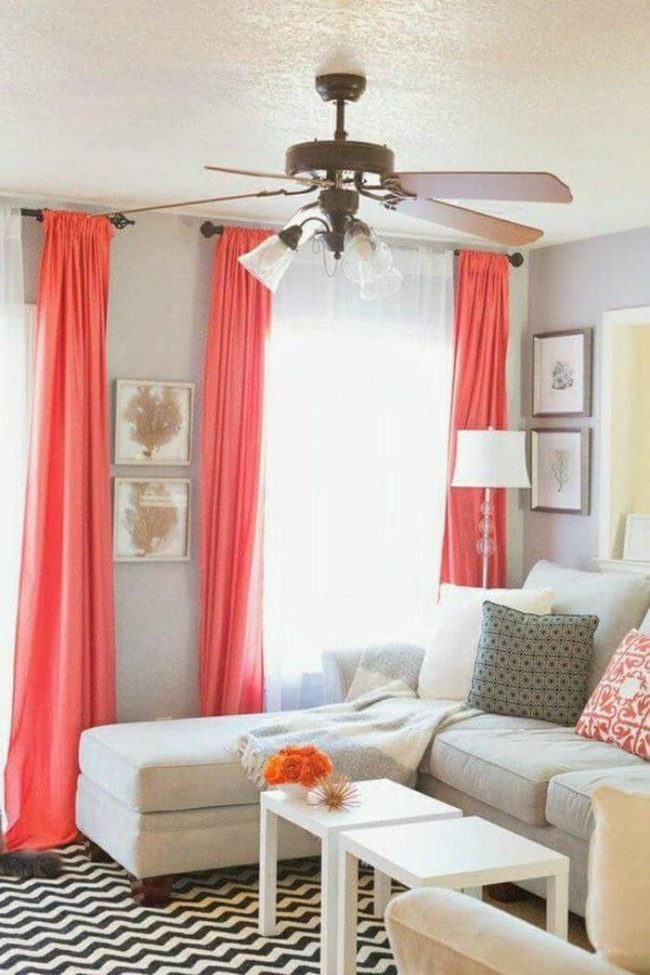 Bright Accents Against Neutral Walls