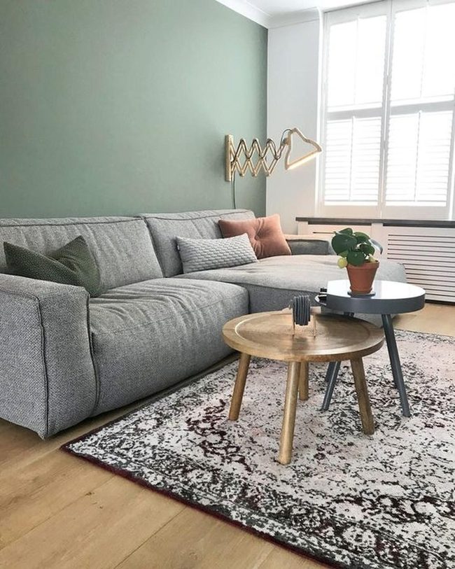 Green Walls, Gray Sofa, Natural Light
