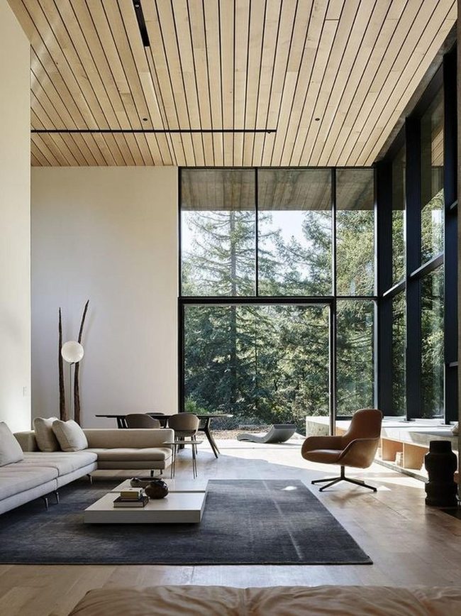 Forest Views Through Open Glass