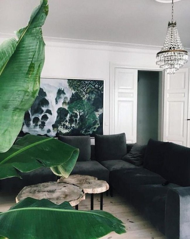 Gray Sofas, Green Plants, Crystal Sparkles