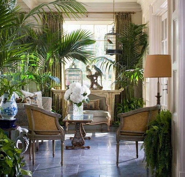 Leafy Green Window Displays