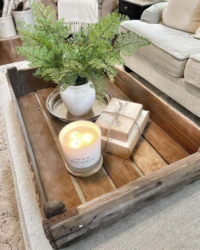 Weathered Wood Tray With Living Elements