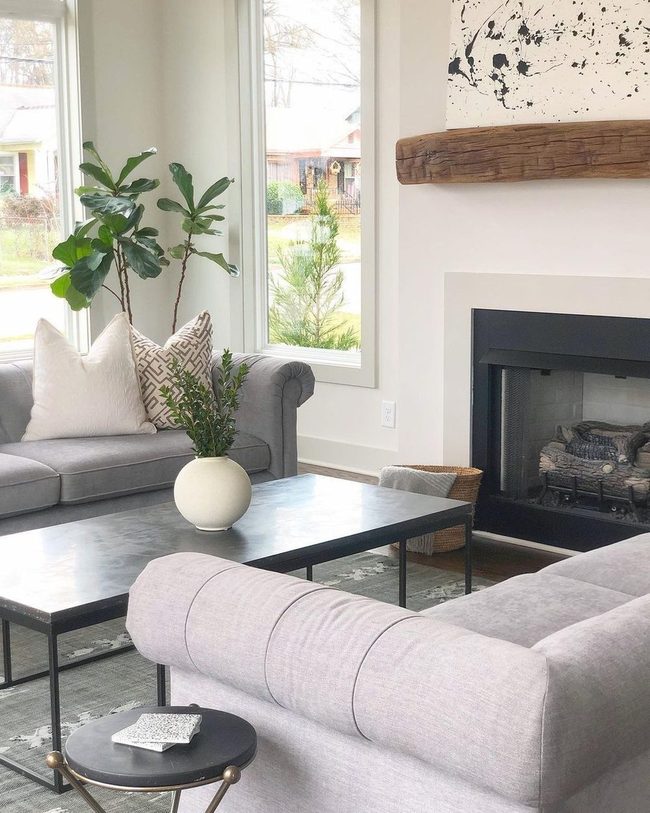 Green Plants In Neutral Rooms