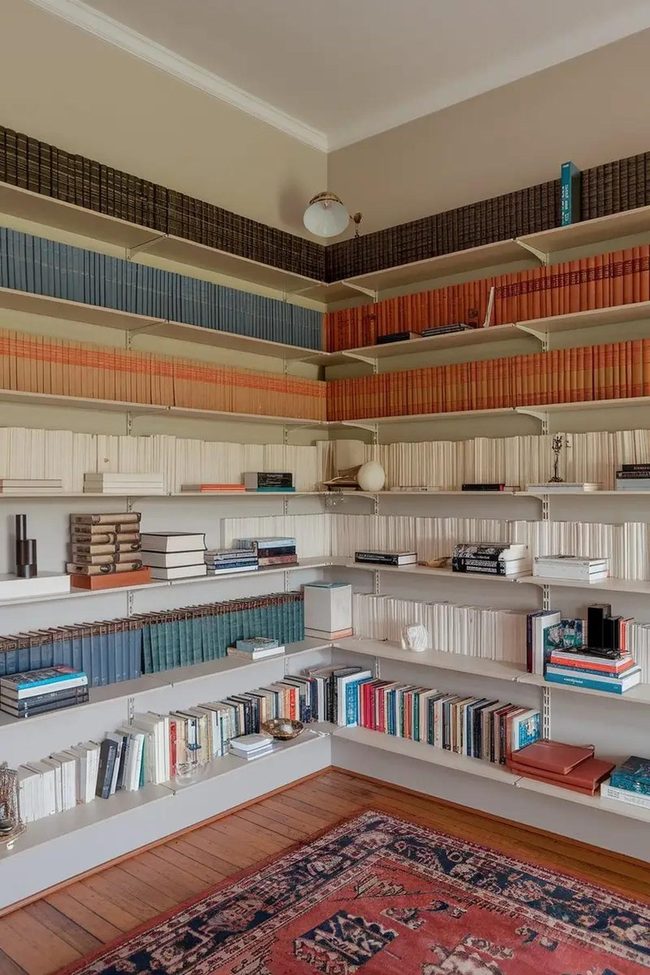 Rainbow Book Wall Display