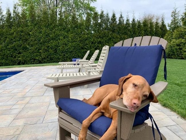 Poolside Wood Chairs Plush Cushions