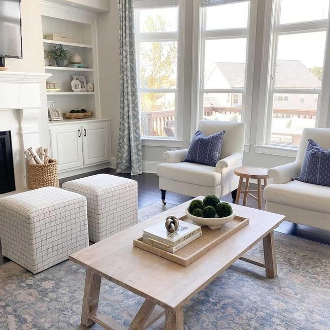 Blue And White Living Room Seating