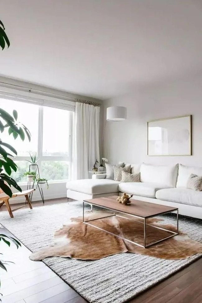 Sunlit White Room With Green Plants