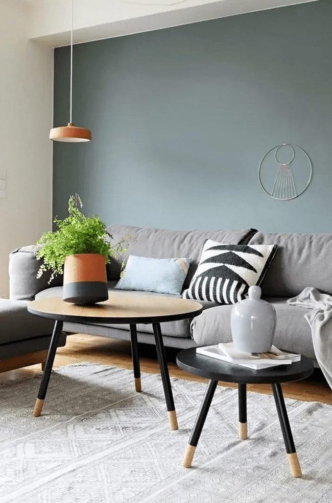 Blue-Gray Living Room With Green Plant