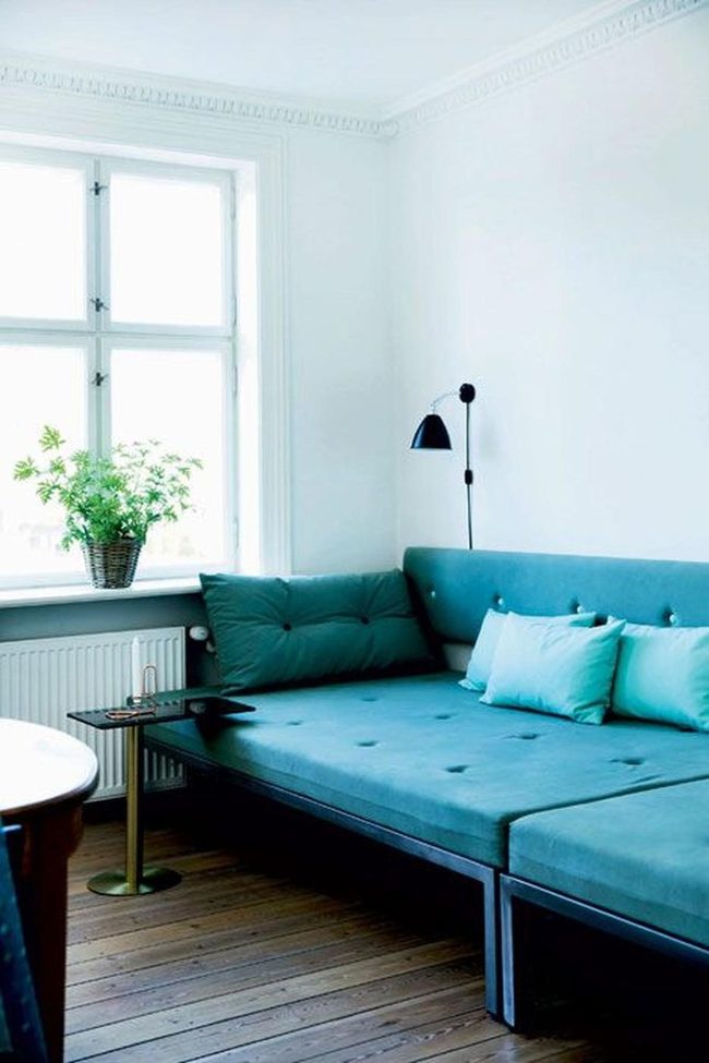 Emerald Plant Brightens Teal Interior