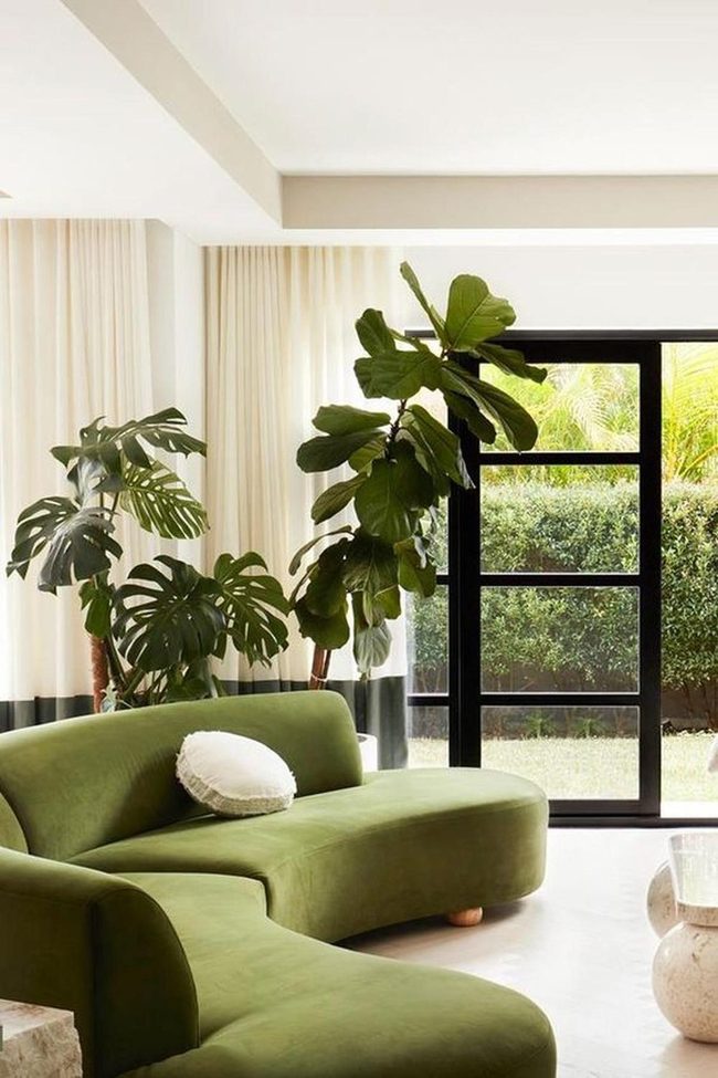 Green Curved Sofa Meets Natural Light