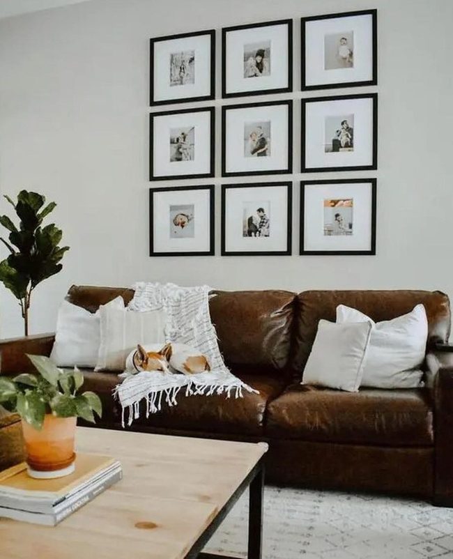 Brown Leather, Dog, And Green Life