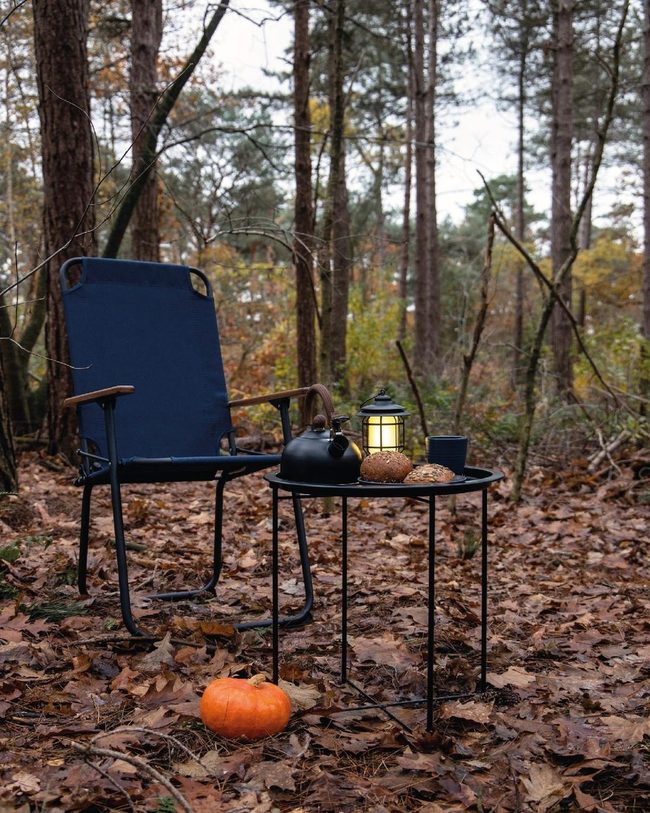 Burnt Orange Chair, Modern Meets Autumn