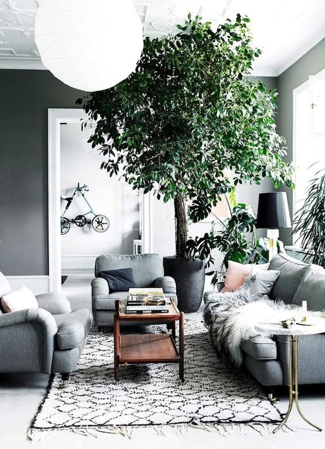 Sunlit Gray Living Room With Books