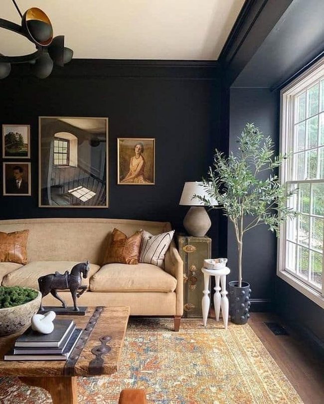 Dark Walls Meet Bright Windows
