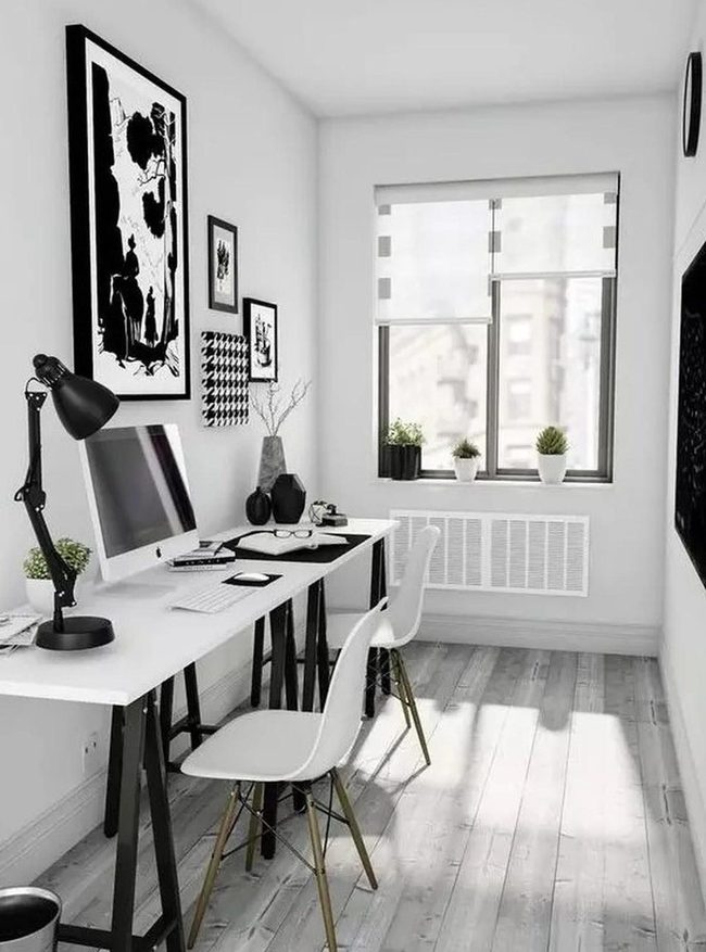 Sunlit Workspace With Green Plants