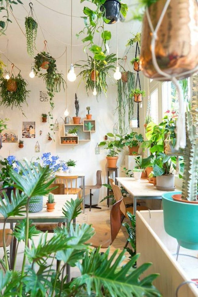 Leafy Green Living Room Anchors