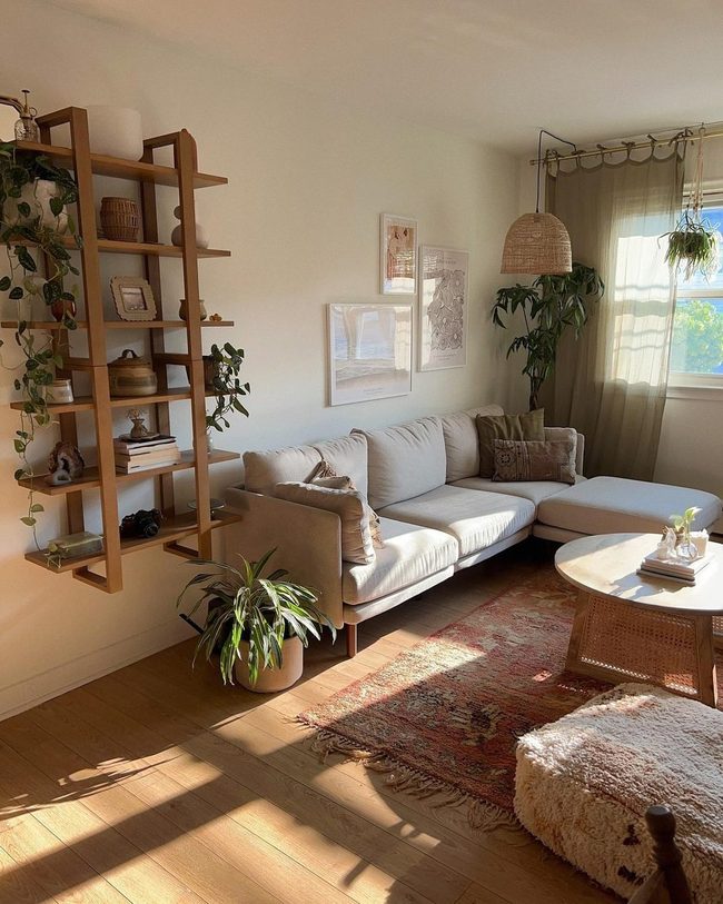 Natural Wood Shelves With Living Plants