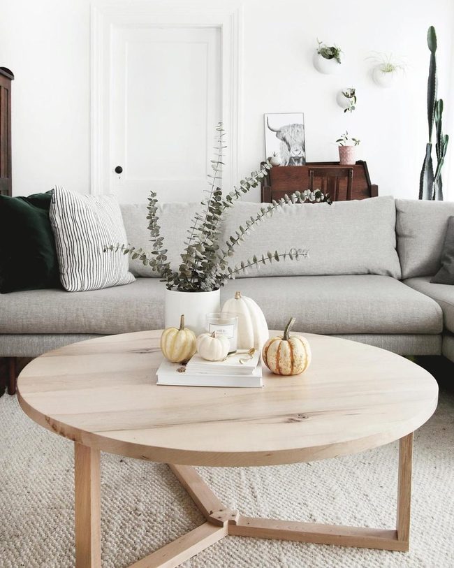 Sunlit Wood And Neutral Tones