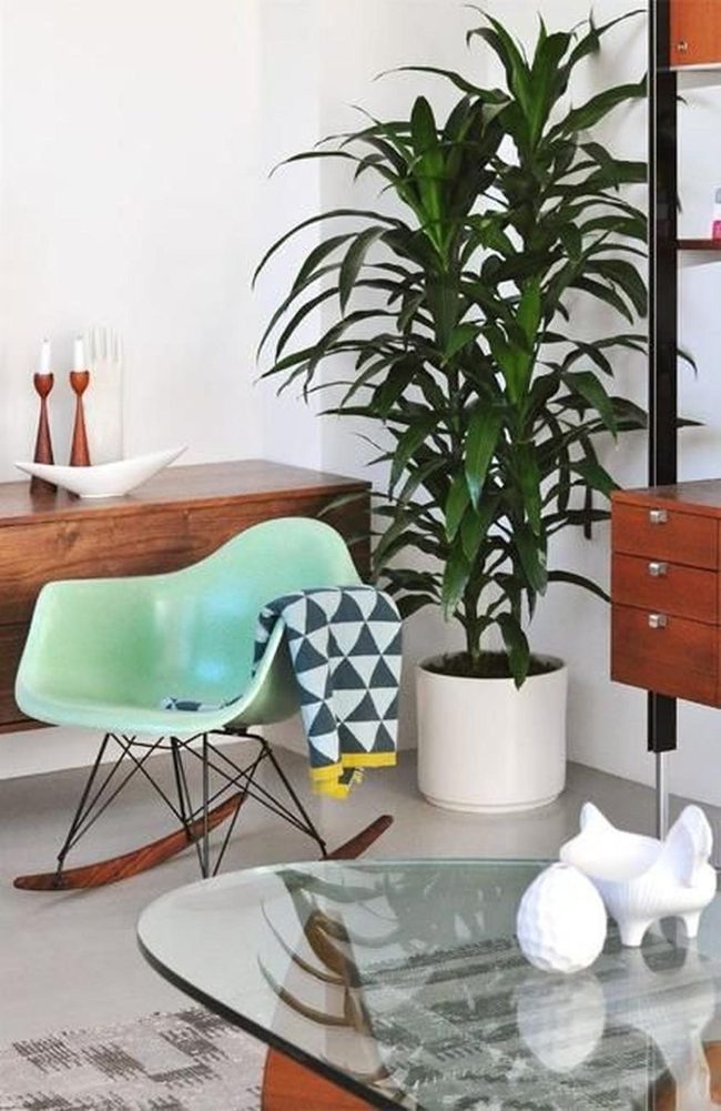 Green Chairs, Natural Light Living