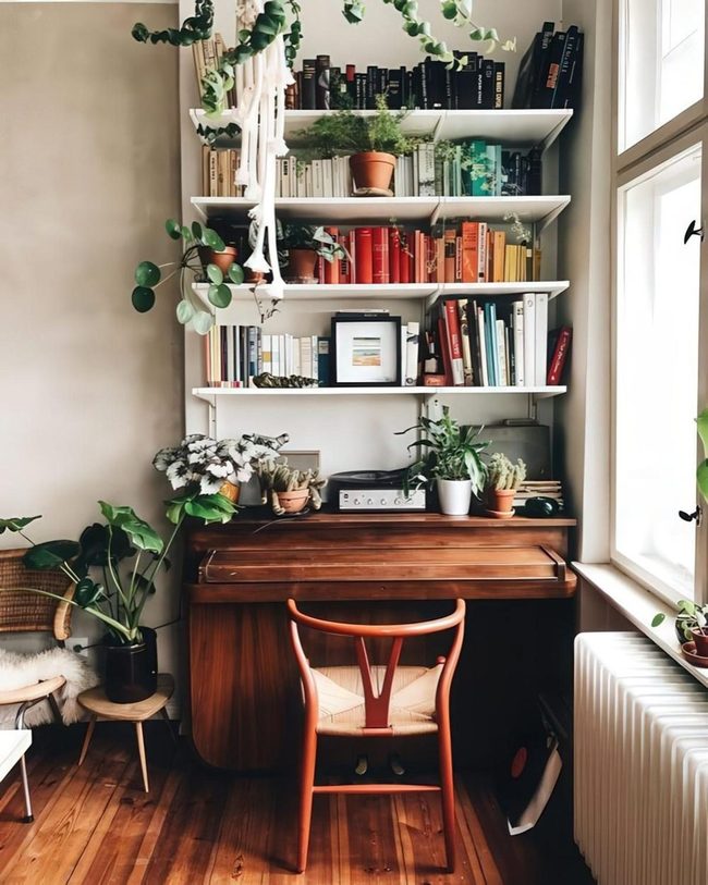 Piano, Plants, Rainbow Books