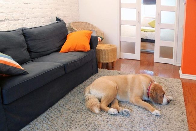 Orange Walls, Gray Couches, White Brick