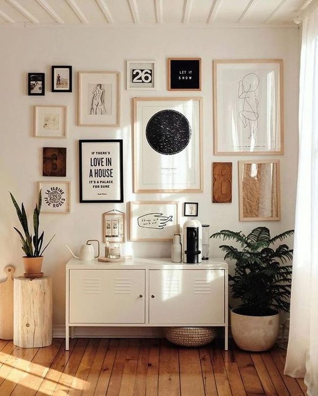 Light-Filled Space With Green Plants