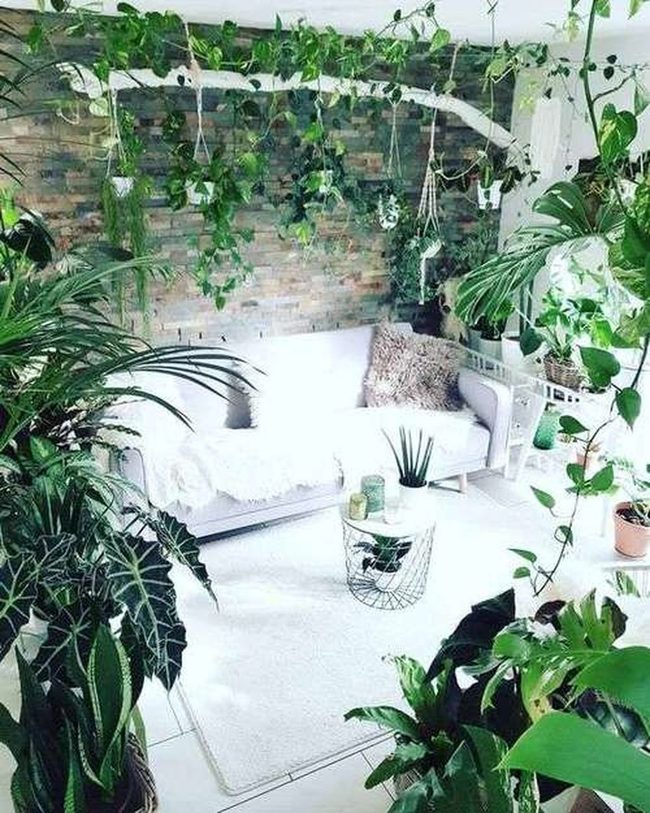 Cascading Green Wall Garden