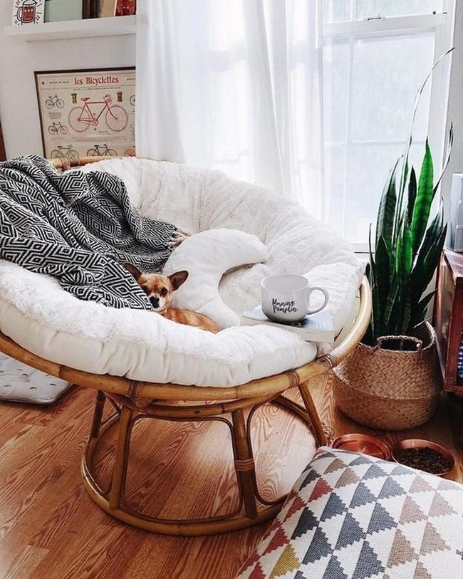 Black And White Patterned Dog Chair