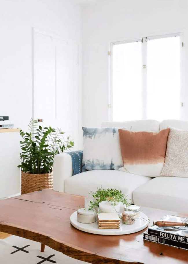 Living Room Greenery Brings Balance