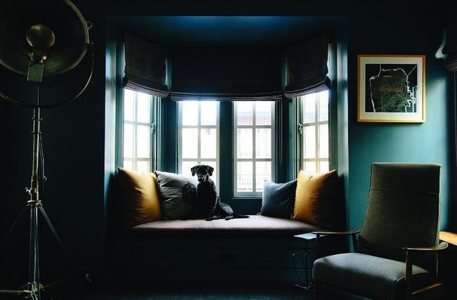 Emerald Green Walls Shine