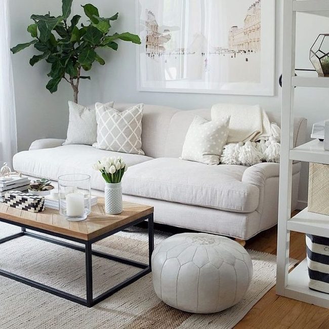 Green Plants Break Neutral Calm
