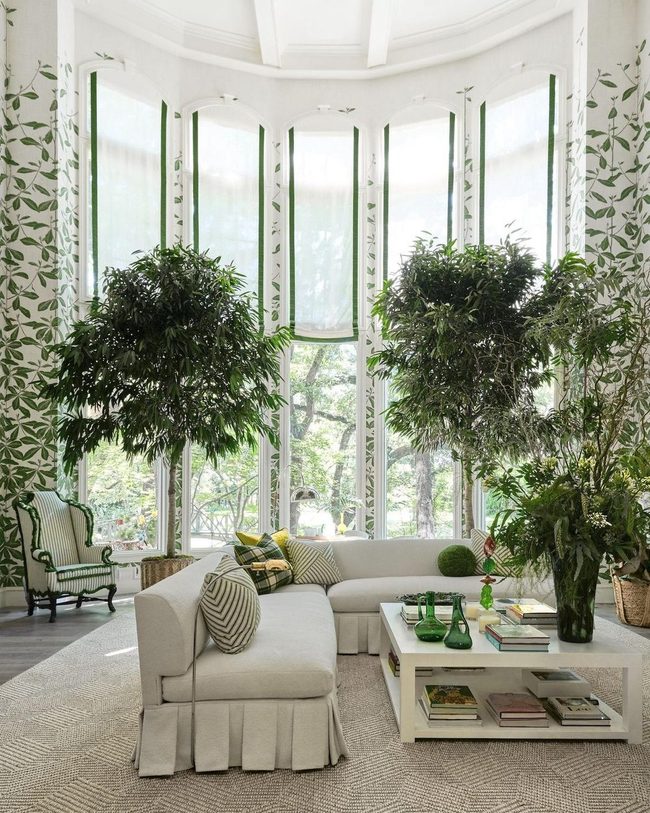 Tall Plants With Botanical Walls
