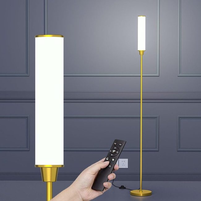 Gold Lined Modern Floor Lamp