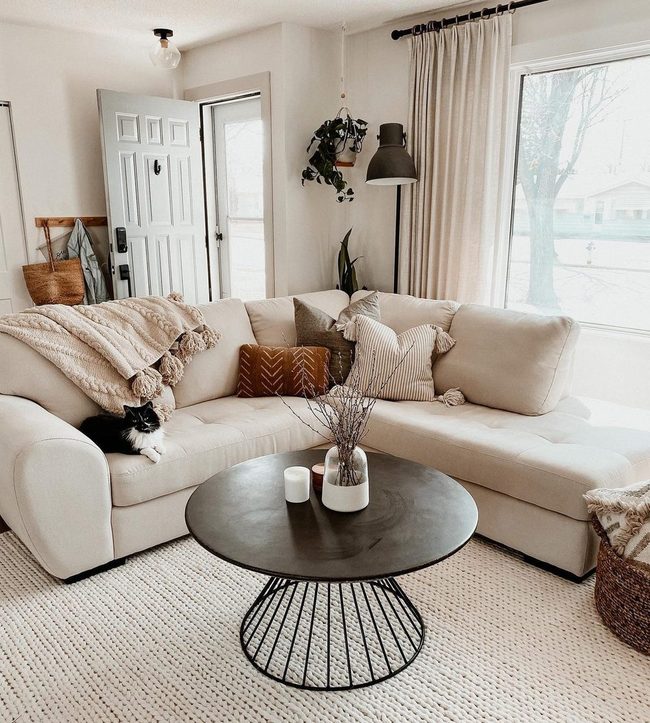 Beige Sofa Bathed In Natural Light