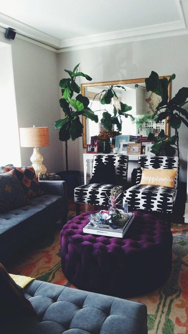 Black Chairs Pop Against Purple Ottomans