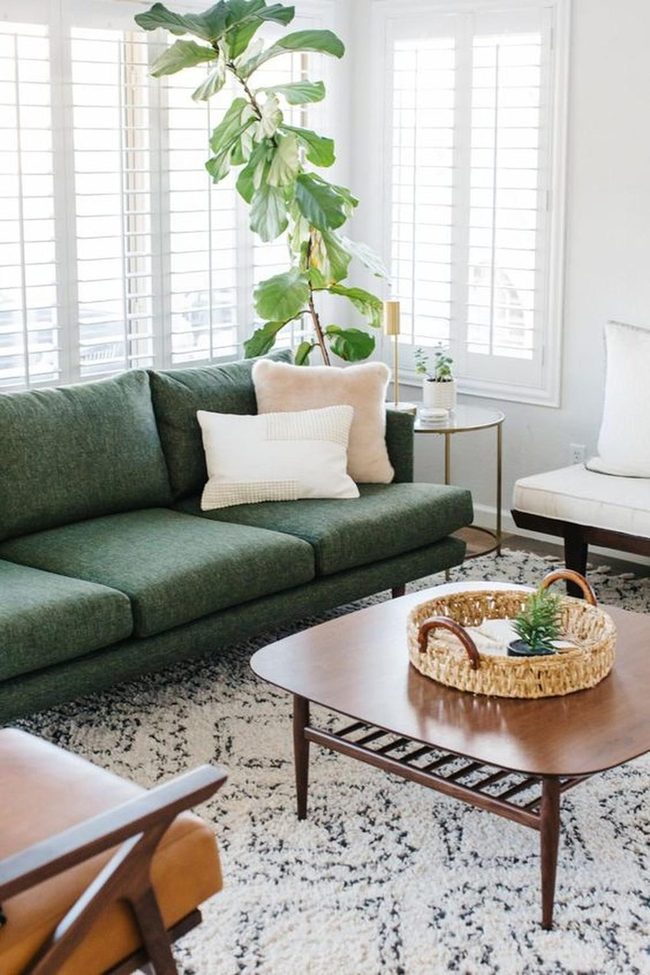 White Shutters, Green Couch, Natural Light