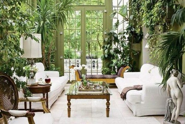 Glass Walls, Thriving Green Plants