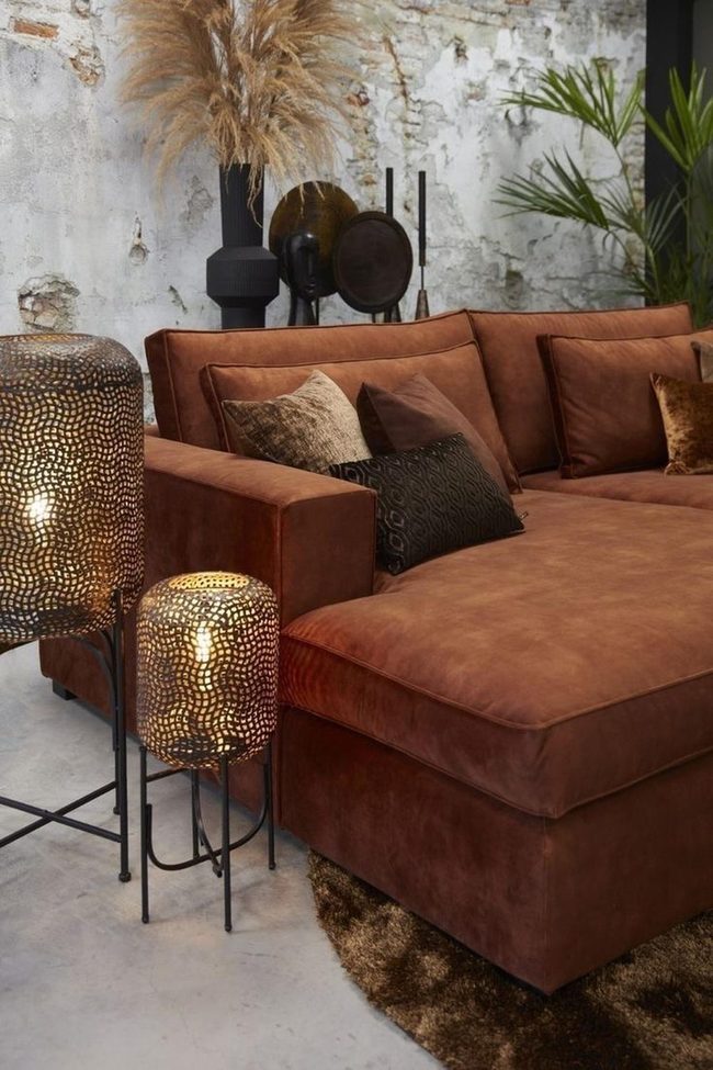 Brown Walls, Pampas Grass, Artistic Light